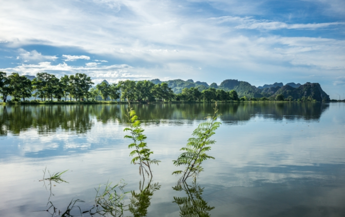 多參數水質檢測儀是保證農業水質的一劑強心針(水質檢測儀在農業生產的作用)