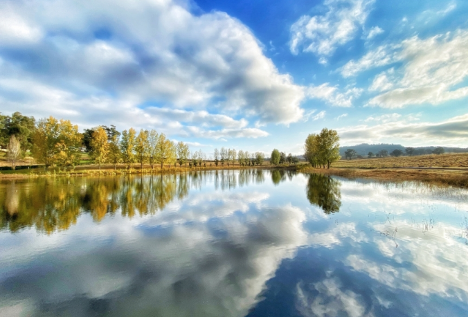 1681892055201240.png 1681892055201240.png