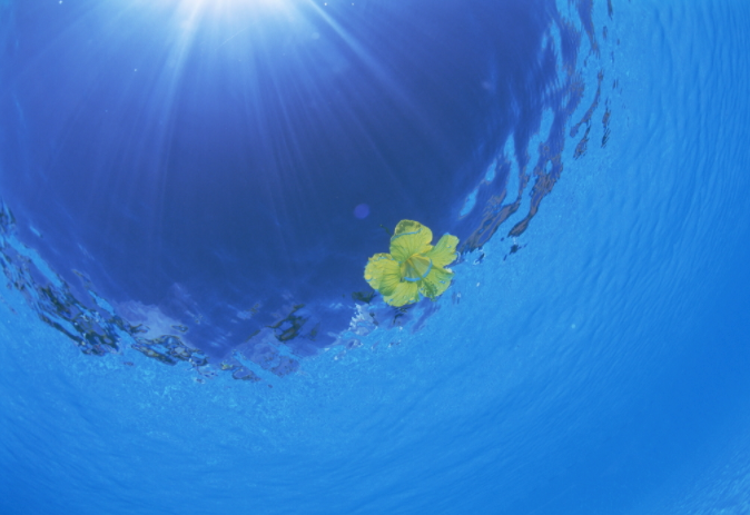 水質(zhì)采樣器應(yīng)該怎樣保養(yǎng)與維護(hù)?(水質(zhì)采樣器注意定期清潔和消毒)