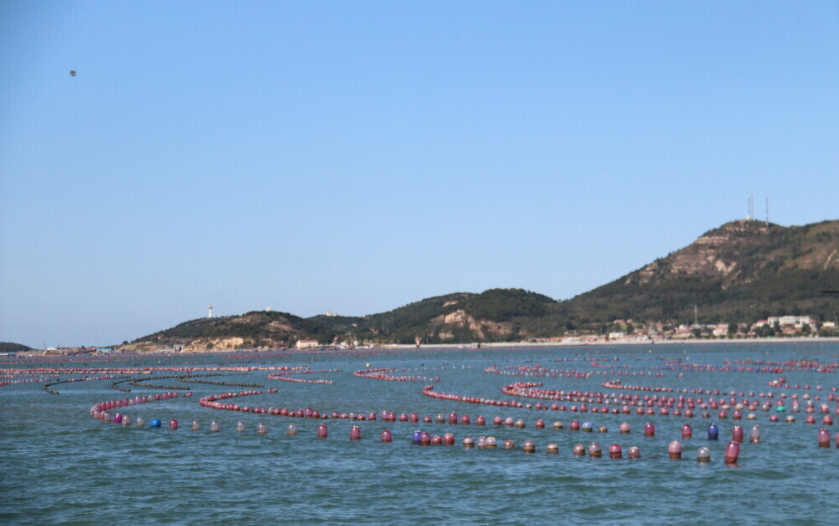 養(yǎng)魚專業(yè)水質(zhì)檢測(cè)儀什么品牌好？