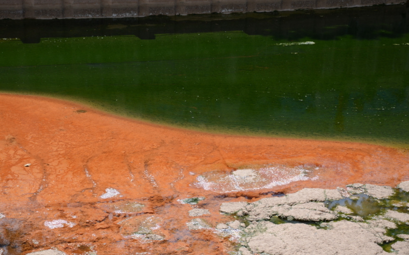 水質(zhì)重金屬分析儀:快速評(píng)估污染水體