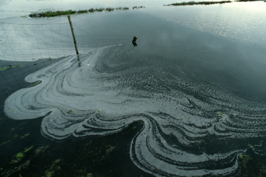 快速準確的多參數水質測定儀:揭示潛在水污染源